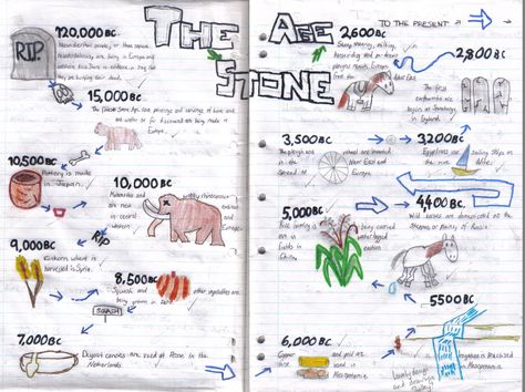 Stone Age Ks2, Stone Age Display, Prehistoric Age, 6th Grade Social Studies, Kids Homework, Primary Teaching, Story Of The World, Iron Age, Stone Age