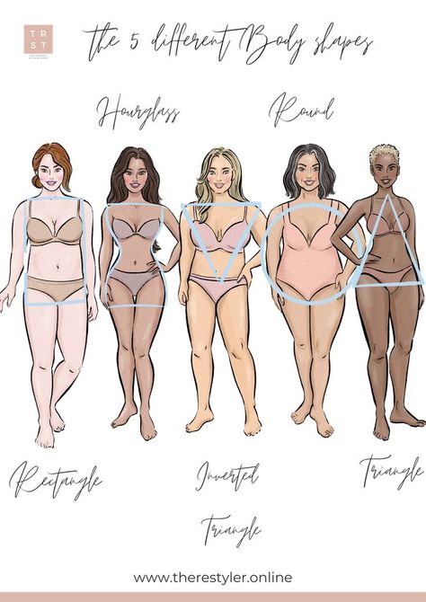 Different Types Of Bodies, Cubby Body Reference, Plus Size Body Shapes Chart, Body Models For Drawing, Body Forms Drawing, Different Women Body Types, Realistic Body Types Drawing, Body Shape Chart Drawing, Different Body Sizes