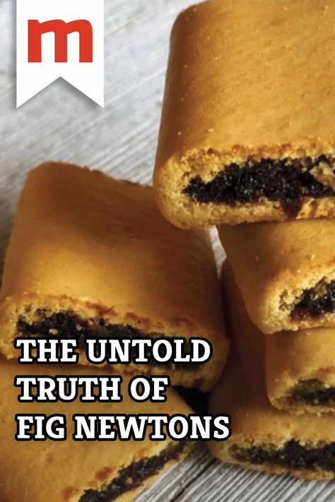 The Fig Newton is a somewhat mysterious cookie. What is a Newton anyway? Fig Newton Cookies, Fig Newton Recipe With Fresh Figs, Fig Newtons With Fresh Figs, Fig Newtons Homemade, Fig Newton Recipe, Homemade Fig Newtons, Fig Rolls, Fig Paste, Tollhouse Cookies