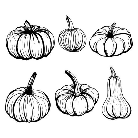 Pumpkin Sketch, Fall Gourds, Pumpkin Outline, Pumpkin Tattoo, Pumpkin Drawing, House Plans With Pictures, Pumpkin Illustration, Spooky Tattoos, Object Drawing