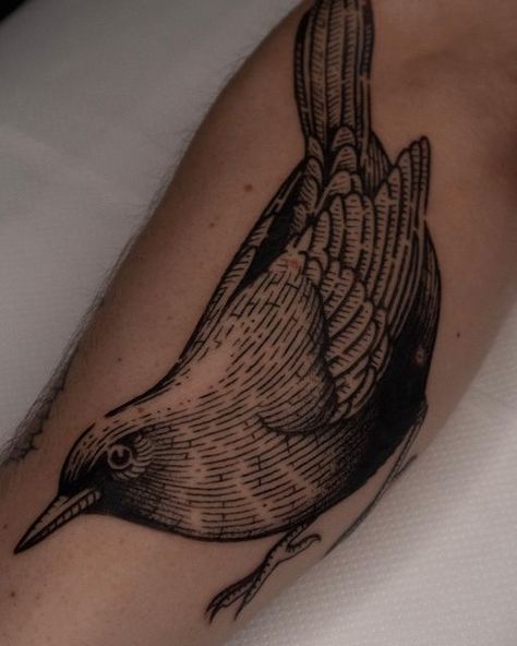 Block Print Style Tattoo, Woodcut Bird Tattoo, Sparrowhawk Tattoo, Trad Tattoos, Etching Tattoo, Woodcut Tattoo, Black Bird Tattoo, Engraving Tattoo, Beautiful Tattoo