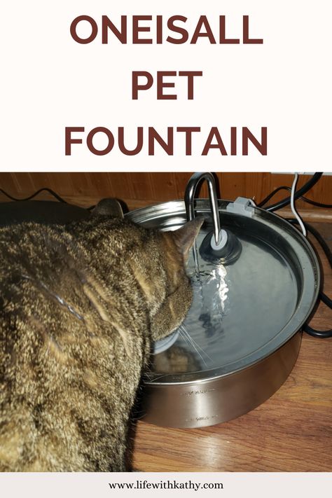 AD My cat has always loved to drink from the sink or the bathtub. I knew that he would probably love to have a pet fountain since he drinks from these places. I recently got him the Oneisall pet fountain, and he loves it! It's stainless steel, and so easy to clean. You can even put it in the dishwasher to clean it. There are options of having the fountain or a bubbly one instead. Both are great options that my cat loves Dog Fountain, Pet Fountain, Children Activities, Family Pets, The Fountain, Fresh And Clean, Family Pet, My Cat, Got Him