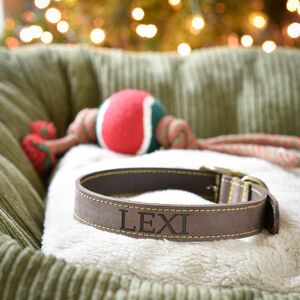 Search results for personalised dog accessories | notonthehighstreet.com Personalized Leather Dog Collar, Velvet Dog Collar, Engraved Dog Collar, Luxury Dog Collars, Fancy Dog, Dog Collar Bow Tie, Small Dog Collar, Personalized Dog Collars, Leather Dog Collar