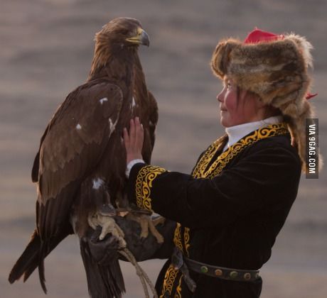 This is 13-year-old Ashol Pan, one of the remaining estimated 250 golden eagle hunters left in Mongolia Mongolian Empire, Mongolian Culture, Animal Farming, Eagle Hunter, Eagle Hunting, Aigle Royal, Incredible Pictures, Golden Eagle, World Cultures