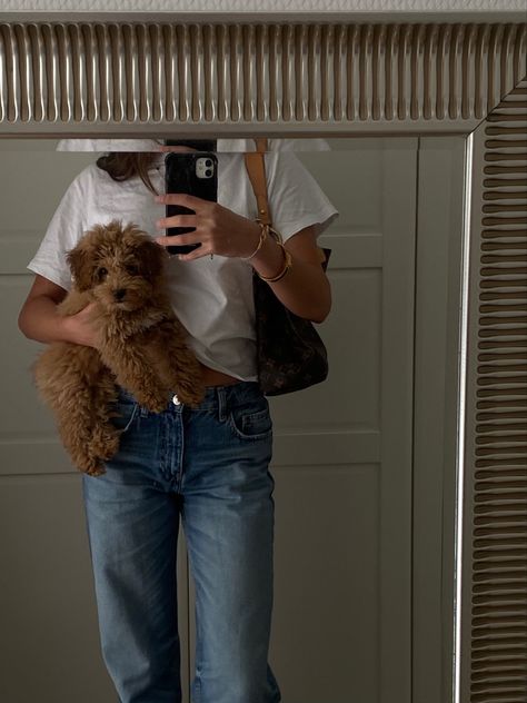 #toypoodle Aesthetic Puppy, New Puppy Photoshoot Ideas, Puppy Aesthetic, Teddy Bear Dog, Dog Mommy, 사진 촬영 포즈, Poodle Puppy, Goldendoodle, Dog Walking