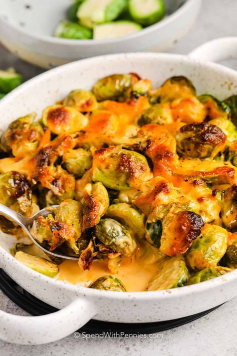 Everyone will love this impressive side dish of Brussels sprouts au gratin! Wholesome brussels sprouts are oven-baked to a sweet tenderness and covered in a cheesy sauce. Make this even more delish with crispy bacon, cheddar, gruyere, or another cheese blend. This keto-friendly, carb-free dish can also be prepared using cauliflower for a flavorful twist! #brusselsproutsaugratin #brusselssproutsaugratin #spendwithpennies #sidedish Brussels Sprouts Au Gratin, Brussel Sprouts Au Gratin, Baked Brussels Sprouts, Cheesy Brussels Sprouts, Baked Brussel Sprouts, Brussels Sprouts Gratin, Creamy Cheese Sauce, Au Gratin Recipes, Bacon Brussel Sprouts