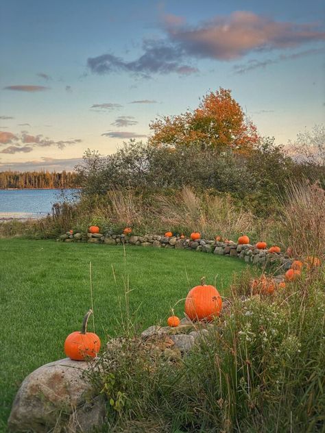 Fading Flowers, Pumpkins & Lobster Buoys | A Coastal Maine Fall Maine Aesthetic Fall, Maine In November, Bar Harbor Maine Fall, Maine Fall Foliage, Maine In The Fall, Lobster Buoys, Maine Memes, Large Pumpkins, Ornamental Kale