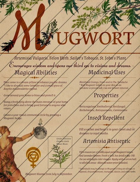 Book of Shadows Pages, Herb Grimoire, Digital Download, Grimoire Pages, Plant Pages, Instant Download, Sage, Mugwort, Basil, Green Witch - Etsy Diy Grimoire Pages, Green Witch Grimoire, Lilly Garden, Green Witchery, Psychic Dreams, Book Of Shadows Pages, Grimoire Pages, Magickal Herbs, Witch Herbs