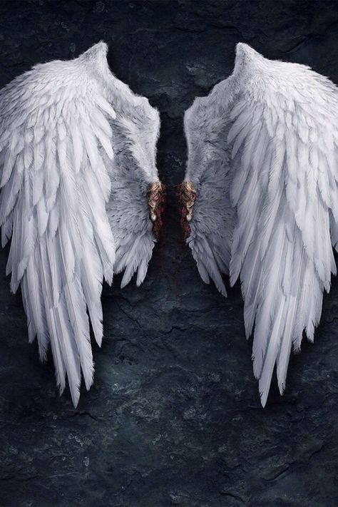 #feathers angel wings Angel Wings Hd, Supernatural Angel Wings, Angel Wings Wallpaper, Angel Wings Background, Supernatural Angels, Fantasy Angel, Idda Van Munster, On The Wings Of Love, Wings Wallpaper