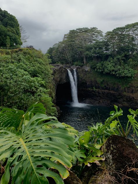 Hawaii Jungle Aesthetic, Hawaii Waterfall Aesthetic, Rainy Hawaii Aesthetic, Hawaii Travel Aesthetic, Hawaii Honeymoon Aesthetic, Hawaii Aesthetic Vintage, Hawaii House Aesthetic, Hawi Hawaii, Hawaii Astethic