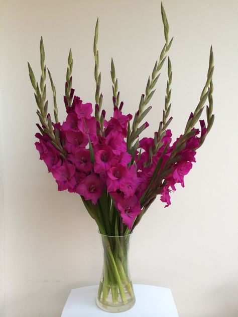 Gladiolus In Vase, Gladiolus Flower Aesthetic, Gladiolus Flower Arrangements, Gladiolus Flower, Luxury Flower Bouquets, Flower Guide, Boquette Flowers, Flower Arrangements Simple, Nothing But Flowers