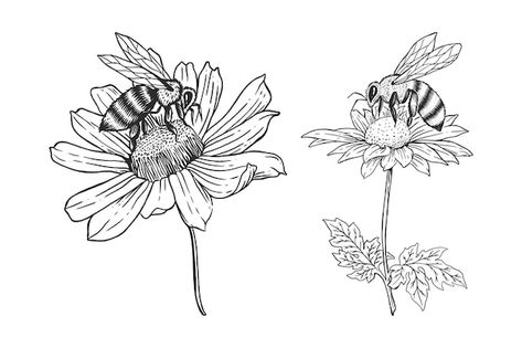 Bee with flower hand drawn illustrations... | Premium Vector #Freepik #vector #botanical-elements #beekeeping #vintage-leaf #botanical Food Vintage, Flower Food, Bee Keeping, Lotus Flower Tattoo, Premium Vector, Flower Tattoo, Graphic Resources, Moose Art, Hand Drawn