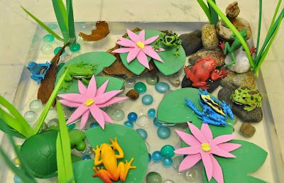 Creative Projects for Kids: Frog Pond Sensory Bin Pond Life Crafts, Fresh Water Animals, Pond Sensory Bin, Pond Sensory, Farm Sensory Bin, Habitat Project, Pond Habitat, Frog Habitat, Frog Activities