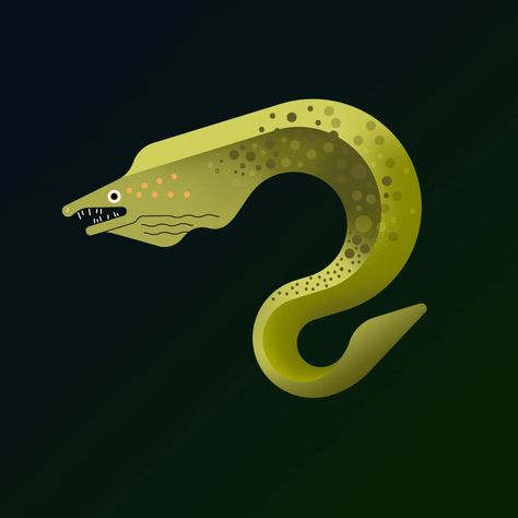 Moray Eel Illustration, Eels Drawings, Moray Eel Drawing, Eel Illustration, Habitat Illustration, Eel Art, Swamp Mermaid, Pixel Room, Mermay 2023