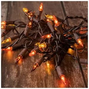 Fall Weekly Ad - Weekly Ad | Hobby Lobby Hobby Lobby Fall Decor, Hobby Lobby Weekly Ad, Hobby Lobby Fall, Mini Lights, Fall Throw Pillows, Holiday Messages, Autumn Lights, Velvet Pumpkins, Fall Mini