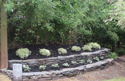 stacked stone short retaining wall - Google Search Terraced Patio Ideas, Stacked Stone Wall, Stone Walls Garden, Stacked Stone Walls, Stone Landscaping, Stone Retaining Wall, Landscaping Retaining Walls, Tiered Garden, Front Landscaping