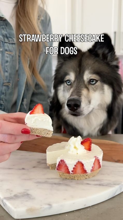 Marie Purvis Cream Cheese Dog Treats, 4 Ingredient Dog Cake, Trio Halloween Costumes With Dog, Dog Cheesecake, Strawberry Dog Treats, 3 Ingredient Dog Cake, Doggie Cake, Valentines Strawberry, Homemade Eggnog