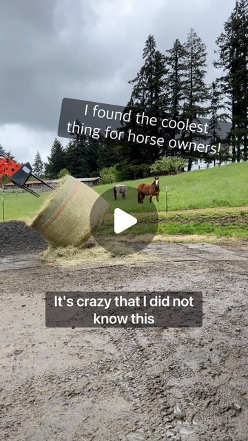 Ali Patton | I’ve been tweaking my feeding routine with the horses for months now, trying to find the best way to keep them out of the stalls overni... | Instagram Hay Hut For Horses, Horse Pasture Ideas, Horse Run In Shelter, Hay Hut, Horse Tack Diy, Horse Farm Ideas, Horse Hay, Horse Stall, Horse Tips