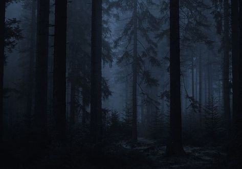 Creepy Woods, Moody Wallpaper, Dark Forest Aesthetic, Indie Photography, Sick Boy, Forest Background, Christian Artwork, Foggy Forest, Night Forest