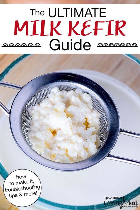 Fresh, tart, and effervescent, milk kefir is a living food teeming with beneficial bacteria and yeasts for gut health! This ultimate guide to all things dairy kefir will answer your burning questions — how to make it, which milk to use, what to do if it's too sour… plus troubleshooting and my 3 best culturing tips! #homemade #milk #kefir #milkkefir #dairykefir Kiefer Recipes, Milk Kefir Recipes, Milk Kefir Grains, Kefir Yogurt, Fermented Drinks, Homemade Milk, Kefir Recipes, Homestead Kitchen, Kefir Grains