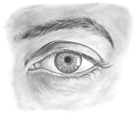 Eye Drawing Male, Male Eye Drawing Reference, Eyes Shading, Mens Eyes, Charcoal Sketching, Drawing Techniques Pencil, Eye Pencil Drawing, Easy Eye Drawing, Quotes Creativity