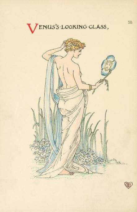 A flower wedding : described by two wallflowers : Crane, Walter, 1845-1915 : Free Download, Borrow, and Streaming : Internet Archive Black Poppy Tattoo, Lady Of Shalott, Crane Tattoo, Walter Crane, Poppies Tattoo, Fairy Tattoo, Cleveland Museum Of Art, Flower Wedding, Japanese Prints