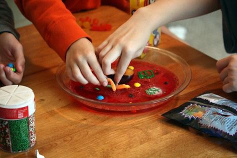 Jello Cell Model Project, Cell Diagram Project, Edible Animal Cell, Edible Cell Project, Animal Cell Model, Plant Cell Project, Edible Cell, Cell Model Project, Animal Cell Project