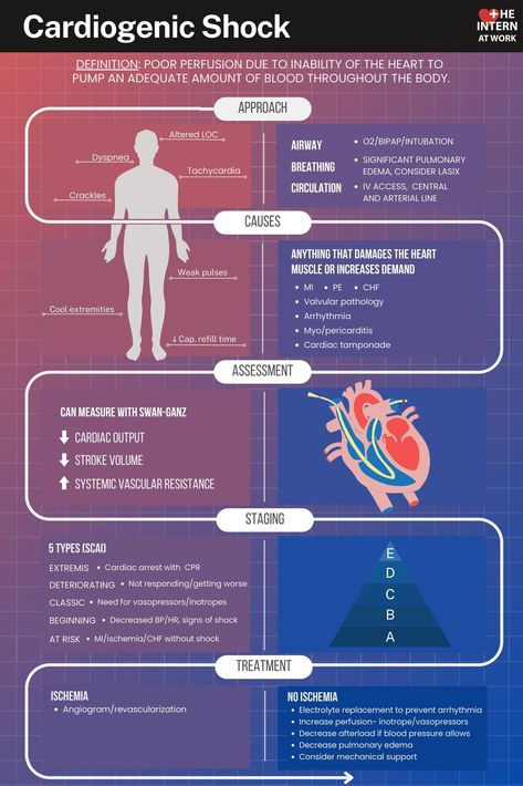 Arterial Line, Cardiogenic Shock, The Intern, Heart Muscle, Medical Terminology, Critical Care, Internal Medicine, Cardiology, Research Projects