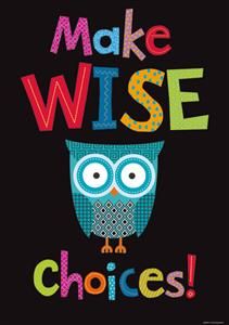 Wise Choices Poster Classroom Sayings, Student Quotes, Owl Quotes, Owl Theme Classroom, Owl Classroom, Owl Posters, Classroom Quotes, Owl Theme, Quote Motivation