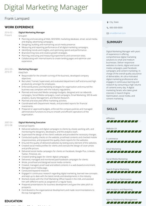 Digital Marketer Resume, Digital Marketing Cv, Marketing Resume Examples, Digital Marketing Resume, Marketing Manager Resume, Resume Summary Examples, Marketing Resume, Digital Marketing Manager, Resume Summary