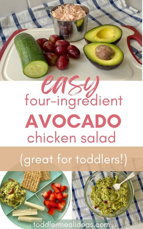 Savory Chicken Salad Recipe, Toddler Chicken Recipes, Dairy Free Lunch, Toddler Meal Ideas, Can Chicken Recipes, Easy Toddler Meals, Avocado Chicken, Pre Cooked Chicken, Toddler Lunches