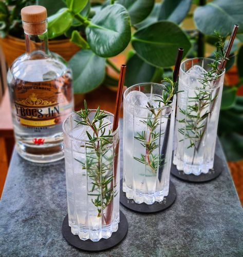 𝐒𝐏𝐈𝐂𝐄𝐃 𝐄𝐋𝐃𝐄𝐑𝐅𝐋𝐎𝐖𝐄𝐑 𝐂𝐎𝐋𝐋𝐈𝐍𝐒 Today's serve for #WelshGinMonth is this 'Spiced Elderflower Collins' made with the amazing @ybocsjin Gin. Celebrating the botanicals was the aim, with the elderflower liqueur, ginger bitters and rosemary garnish. It's the perfect serve to warm the cockles 👌 ------------------------------ #WelshGinMonth 🏴󠁧󠁢󠁷󠁬󠁳󠁿 -‐----‐----------------------- 𝐑𝐄𝐂𝐈𝐏𝐄 • Y Bocs Jin Gin @ybocsjin - 40ml • St Germain Elderflower Liqueur- 20ml • Fresh Lemon Juice - 25ml • Bob's Ginger... Elderflower Collins, Rosemary Garnish, Collins Glass, Gin Liqueur, Cocktail Photography, Rosemary Sprigs, Cocktail Art, St Germain, Gin Cocktails