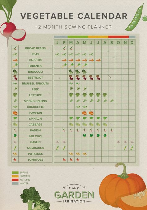 Vegetable Calendar, Vegetable Planting Calendar, Vegetable Planting Guide, Growing Calendar, Asparagus Plant, Garden Party Recipes, Vegetable Planting, When To Plant Vegetables, Vegetable Garden Planner