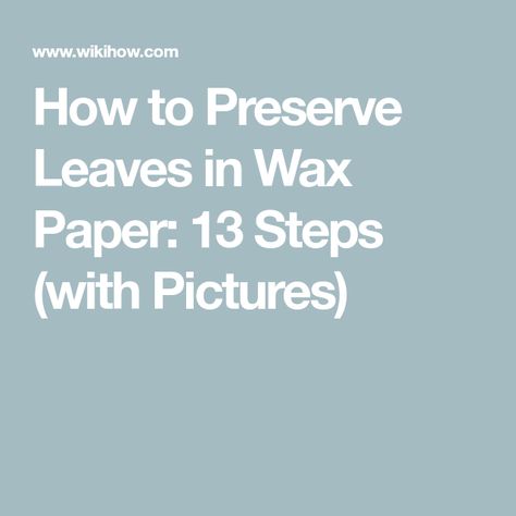 How to Preserve Leaves in Wax Paper: 13 Steps (with Pictures) Pressing Leaves In Wax Paper, Leaves In Wax Paper, Preserving Leaves, How To Preserve Leaves, Preserve Leaves, Leaf Craft, Leaf Projects, Pressed Leaves, Paper Leaves