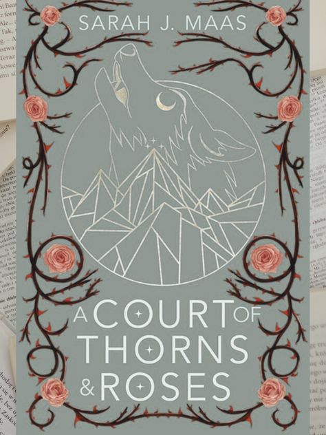 A court of thorn and roses is a page turning spicy romance with a a strong female lead. A Court Of Thorns And Roses Book Cover, Book Edges, Spicy Romance, Strong Female Lead, Roses Book, Court Of Thorns And Roses, Reading Romance, Strong Female, Book Nook