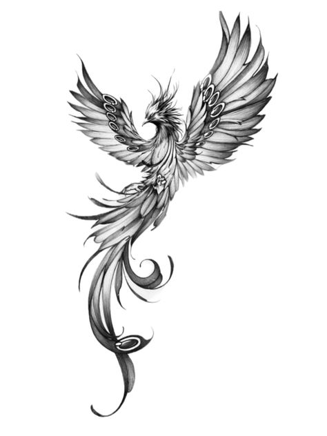 Fenix Bird, Small Phoenix Tattoos, Phoenix Bird Tattoos, Basic Tattoos, Forearm Tattoo Women, Phoenix Bird, Famous Artwork, Cute Tattoos For Women, Phoenix Tattoo