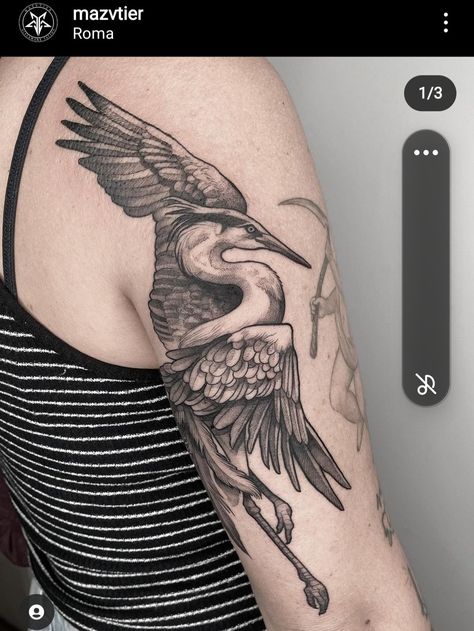 Herron Tattoo, Albatross Tattoo, Blue Heron Tattoo, Crane Painting, Bird Tattoo Sleeves, Heron Tattoo, Tattoo Cover Ups, Delicate Tattoos For Women, Pet Tattoos