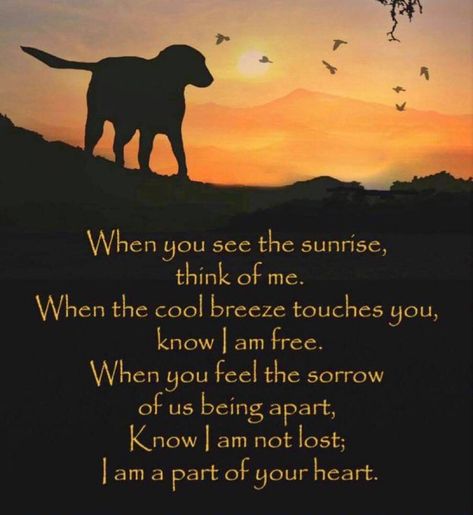 Goodbye Poems, Dog Heaven Quotes, Spiritual Poems, Sympathy Poems, Miss My Dog, Dog Poems, Dog Quotes Love, Dog Sympathy, Heaven Quotes