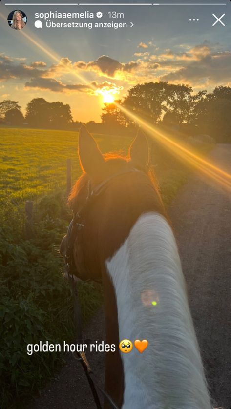 Horse Riding Instagram Story, Horse Instagram Story, Sto Insta, 3d Pencil Art, Sophia Weber, Horse Story, Equestrian Aesthetic, Horse Aesthetic, Horse Photos