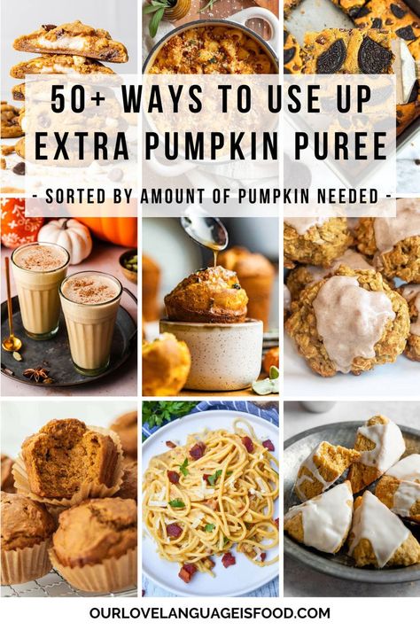 9 image collage showing food recipe ideas for using up leftover pumpkin puree. Recipes With Pumpkin Puree, Puree Ideas, Leftover Pumpkin Puree, Recipes With Pumpkin, Puree Recipes, Canned Pumpkin Recipes, Pumpkin Puree Recipes, Leftover Pumpkin, Comfort Soup