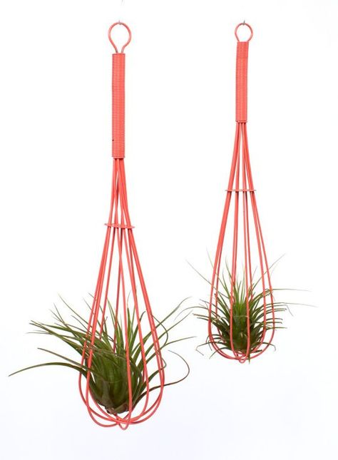 Air Plants Diy, Plant Display Ideas, Air Plants Decor, Air Plant Display, Air Plant Terrarium, Support Plante, Garden Terrarium, Air Plant Holder, Ornamental Plants