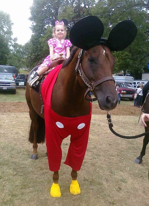 Minnie and Mickey Mouse horse costume. Dress your American Quarter Horse up and send us a picture of your creative horse costume ideas! Horse Halloween Ideas, Horse Fancy Dress, Horse Halloween Costumes, Horse Costume, Mickey Mouse Costume, Horse Costumes, Horse Dress, Avatar 2, Pet Halloween Costumes