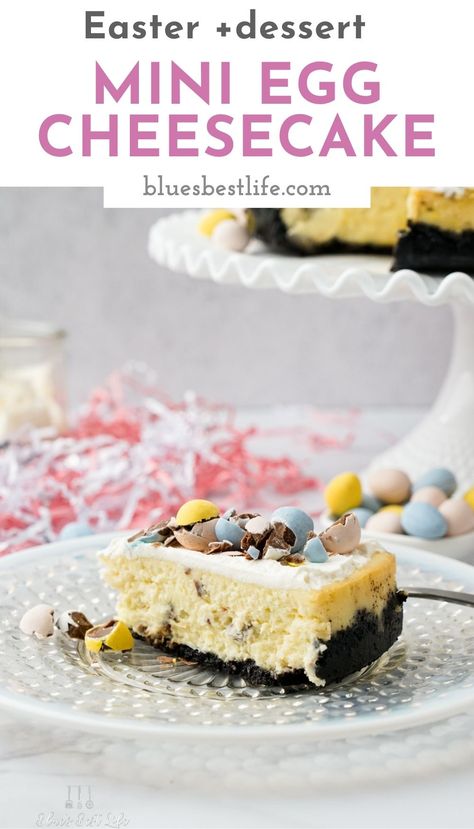 This is the perfect Easter dessert to make for your family! A mini egg cheesecake that is decorated with Cadbury chocolate eggs! It has a simple cheesecake filling with a delicious chocolate crust that is going to be a hit with everyone! Perfect for your Easter dinner or brunch! Mini Easter Desserts, Mini Egg Cheesecake, Easter Cookie Bars, Simple Cheesecake, Cheesecake With Chocolate, Easter Cheesecake, Puff Pastry Tart, Chocolate Crust, Chocolate Candies