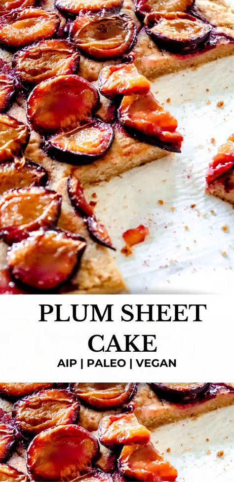 This delightful Plum Sheet Cake is a nod to German Plum Cake or Pflaumenkuchen! This version is AIP, paleo and vegan, soft, not too sweet, delicious and oh so pretty! Made with Italian blue plums, this cake is quick and easy to make and great with breakfast or as a dessert. #aiprecipes #aip #paleo #paleorecipes #plumcake #vegancake #vegan #veganrecipes #fallrecipes #falldessert #grainfree #glutenfree Gluten Free Plum Cake, Healthy Plum Dessert, Plum And Almond Cake, Paleo Plum Cake, Healthy Plum Cake, German Plum Cake, Plum Dessert, Aip Dinner, Aip Treats