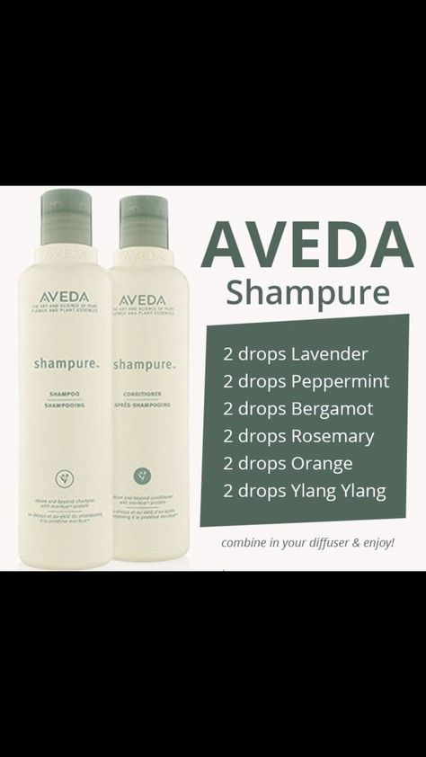 Shampure Essential Oil Blend, Shampure Essential Oil Recipe, Aveda Shampure Essential Oil Blend, Aveda Spa Diffuser Blends, White Tea Essential Oil Blend, Aveda Essential Oil Recipe, Essential Oil Perfumes Recipes, Essential Oil Combinations, Aromatherapy Recipes