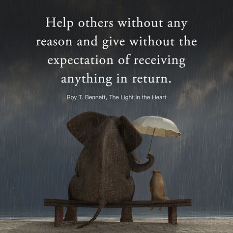 Help others without any reason and give without the expectation of receiving anything in return.  Roy T. Bennett, The Light in the Heart Helping Others Quotes, Adorable Quotes, Kindness Quotes, You Are Amazing, Beautiful Person, Random Acts Of Kindness, Body Language, Inspirational Pictures, Helping Others