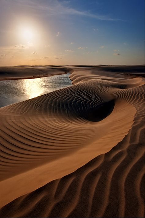 Desert Mirage, Deserts Of The World, Desert Area, Desert Life, Natural Scenery, Desert Landscaping, Sand Dunes, Nature Travel, Amazing Nature