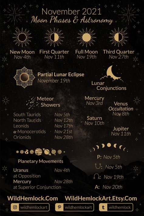 Leonid Meteor Shower, Frost Moon, October Night, Moon Facts, Eclipse Season, Full Moon Phases, Sun Moon Illustration, Moon Phase Calendar, Moon Calendar