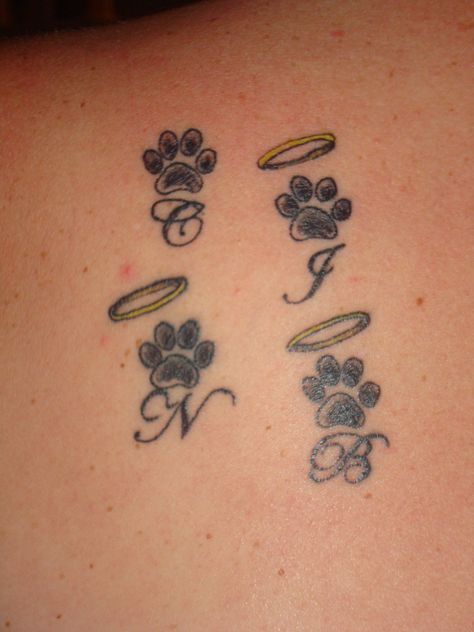 Pawprint Tattoo With Halo, Dog Tattoo For Multiple Dogs, Paw Print Halo Tattoo, Paw Print With Halo Tattoo, Memorial Tattoo For Multiple People, Tattoo To Remember Your Dog, Simple Dog Memorial Tattoo, Dainty Small Tattoos, Paw Tattoos