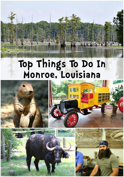 Things To Do In Monroe, Louisiana beyond the Duck Dynasty tour to the Duck Commander. From the Louisiana Purchase Gardens and Zoo to the Biedenharn Museum and more! Check out our recommendations and photos. Ruston Louisiana, West Monroe Louisiana, Louisiana Christmas, Monroe Louisiana, Louisiana Travel, Duck Commander, Louisiana Purchase, Budgeting Planner, Family Trips